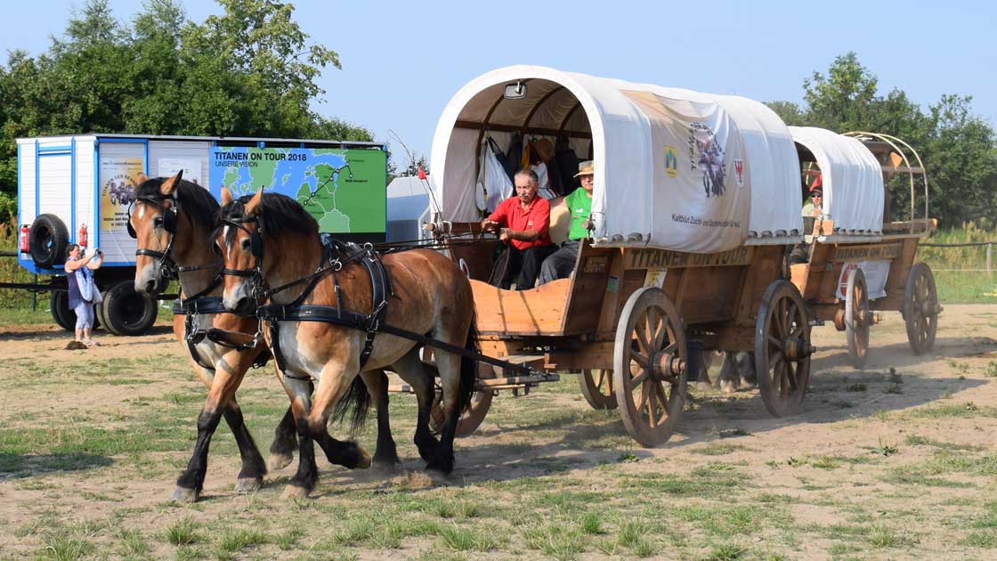 Pferde-Treck bringt Friedensglocke nach Russland