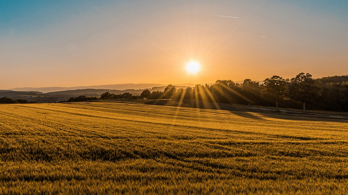 Zuversichtlich: Morgenstund‘ hat Gold im Mund