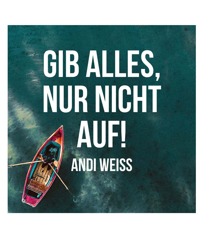 „Gib alles, nur nicht auf! – CD“  von Andi Weiss (© Gerth Medien)